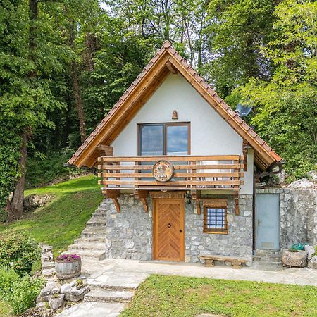 Vineyard Cottage Rataj 2 ノヴォ メスト エクステリア 写真